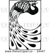 Vector Clip Art of Retro Peacock with Long Feathers by Prawny Vintage