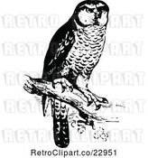 Vector Clip Art of Retro Perched Owl by Prawny Vintage