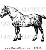 Vector Clip Art of Retro Percheron Horse by Prawny Vintage
