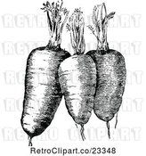 Vector Clip Art of Retro Plump Carrots and Greens by Prawny Vintage