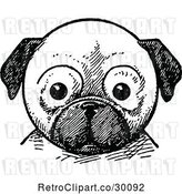 Vector Clip Art of Retro Pug Dog Face by Prawny Vintage