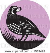 Vector Clip Art of Retro Quail Bird and Grass in a Purple Circle by Patrimonio