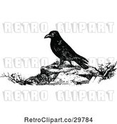 Vector Clip Art of Retro Raven by Prawny Vintage