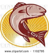 Vector Clip Art of Retro Red Drum Bass Fish Leaping over an Oval of Rays by Patrimonio