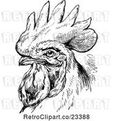 Vector Clip Art of Retro Rooster Portrait by Prawny Vintage