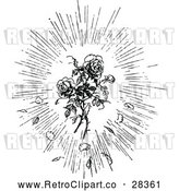 Vector Clip Art of Retro Rose Burst by Prawny Vintage