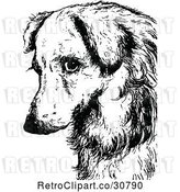 Vector Clip Art of Retro Sad Dog Face by Prawny Vintage