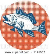 Vector Clip Art of Retro Sea Bass Fish over Orange Halftone by Patrimonio