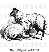 Vector Clip Art of Retro Sheep Pair by Prawny Vintage