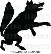 Vector Clip Art of Retro Silhouetted Fox Jumping by Prawny Vintage
