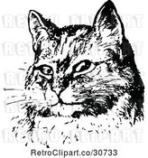 Vector Clip Art of Retro Sitting Cat Face by Prawny Vintage