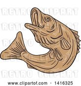 Vector Clip Art of Retro Sketched Brown Jumping Rockfish by Patrimonio