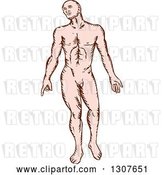 Vector Clip Art of Retro Sketched Nude White Guy by Patrimonio