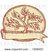 Vector Clip Art of Retro Sketched or Engraved Olive Tree in an Oval over a Blank Ribbon by Patrimonio