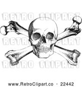 Vector Clip Art of Retro Skull and Cross Bones by BestVector
