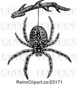 Vector Clip Art of Retro Spider Hanging from a Branch by Prawny Vintage