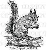 Vector Clip Art of Retro Squirrel Holding a Nut 2 by Prawny Vintage