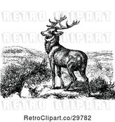 Vector Clip Art of Retro Stag Deer by Prawny Vintage