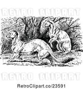 Vector Clip Art of Retro Stoats by Prawny Vintage