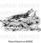 Vector Clip Art of Retro Sun Bathing Alligators by Prawny Vintage