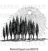 Vector Clip Art of Retro Sun Shining down on Cypress Trees by Prawny Vintage