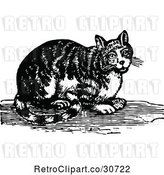 Vector Clip Art of Retro Tabby Cat by Prawny Vintage