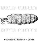 Vector Clip Art of Retro Termite Queen by Prawny Vintage