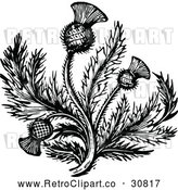 Vector Clip Art of Retro Thistle Flower 2 by Prawny Vintage