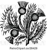 Vector Clip Art of Retro Thistle Flower by Prawny Vintage