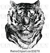Vector Clip Art of Retro Tiger Face by Prawny Vintage
