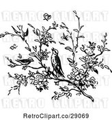 Vector Clip Art of Retro Tree Branch and Birds by Prawny Vintage