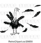 Vector Clip Art of Retro Turkey Bird and Feathers by Prawny Vintage