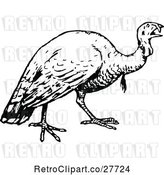Vector Clip Art of Retro Turkey Bird by Prawny Vintage