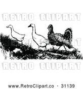Vector Clip Art of Retro Turkey with Geese by Prawny Vintage