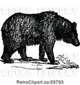 Vector Clip Art of Retro Walking Bear by Prawny Vintage