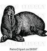 Vector Clip Art of Retro Walrus by Prawny Vintage
