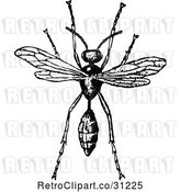 Vector Clip Art of Retro Wasp by Prawny Vintage