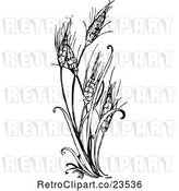 Vector Clip Art of Retro Wheat Plant by Prawny Vintage