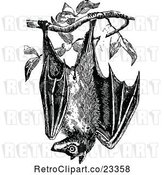 Vector Clip Art of Retro Wild Bat Hanging from a Tree by Prawny Vintage