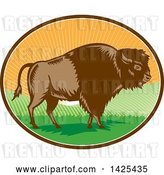 Vector Clip Art of Retro Woodcut American Buffalo Bison in an Oval with Hills and Sun Rays by Patrimonio