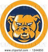 Vector Clip Art of Retro Woodcut Angry Bulldog in a Blue and Yellow Circle by Patrimonio