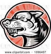 Vector Clip Art of Retro Woodcut Angry Dog over Red Rays by Patrimonio