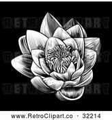 Vector Clip Art of Retro Woodcut Blooming Waterlily Lotus Flower on Black by AtStockIllustration