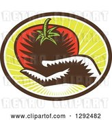 Vector Clip Art of Retro Woodcut Hand Holding a Plump Tomato in a Brown White and Green Sunshine Oval by Patrimonio