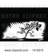 Vector Clip Art of Retro Woodcut Plant with Fallen Leaves Turning into Maggots by Patrimonio