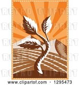 Vector Clip Art of Retro Woodcut Seedling Plant and Mountains Against Orange Sunshine Rays by Patrimonio