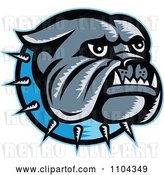 Vector Clip Art of Retro Woodcut Styled Bulldog Head with a Spiked Blue Collar by Patrimonio