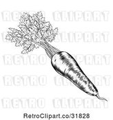 Vector Clip Art of Retro Woodcut Styled Carrot with Greens by AtStockIllustration
