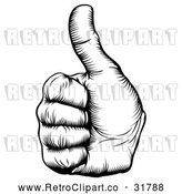 Vector Clip Art of Retro Woodcut Thumb up Hand by AtStockIllustration