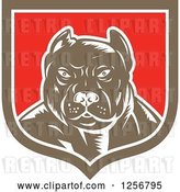 Vector Clip Art of Retro Woodcut Tough Pitbull Guard Dog in a White Red and Brown Shield by Patrimonio